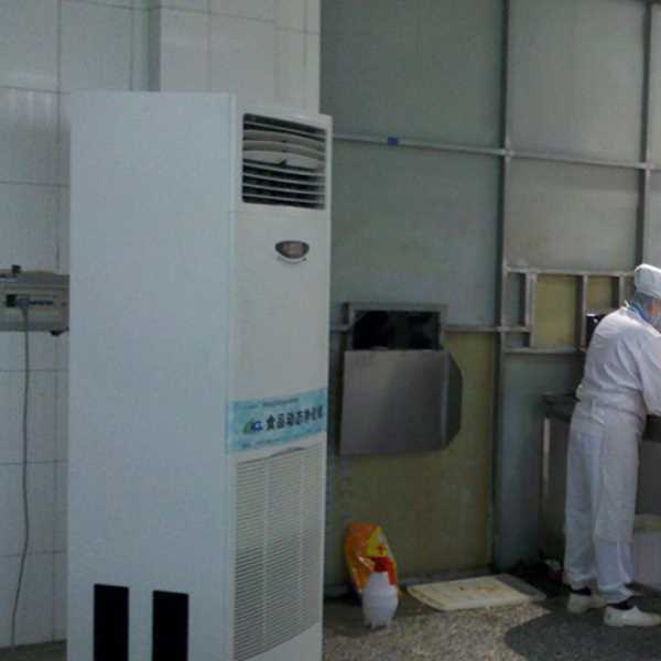 儋州食品正负离子空气杀菌器